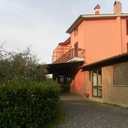 Il Contado B&B Castel Sant'Elia Buitenkant foto